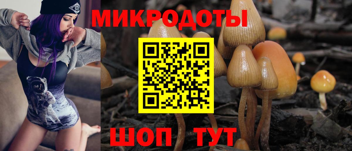 Псилоцибиновые грибы Cubensis  Вход с VPN  Псилоцибиновые грибы GOLDEN TEACHER  Дзержинск 